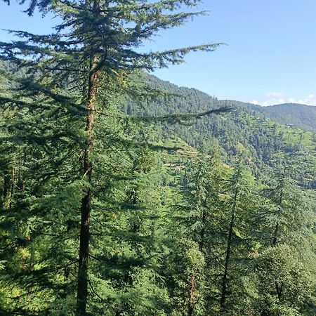 Peace Holiday Homestay Chail Exterior foto