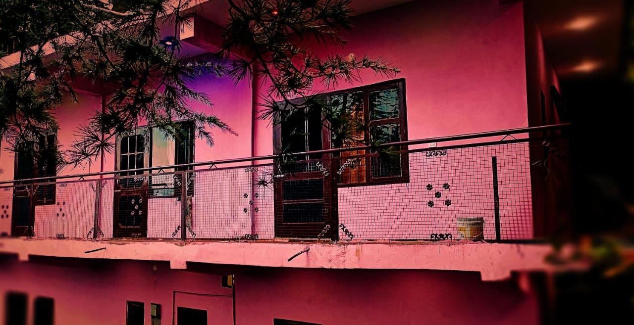 Peace Holiday Homestay Chail Exterior foto