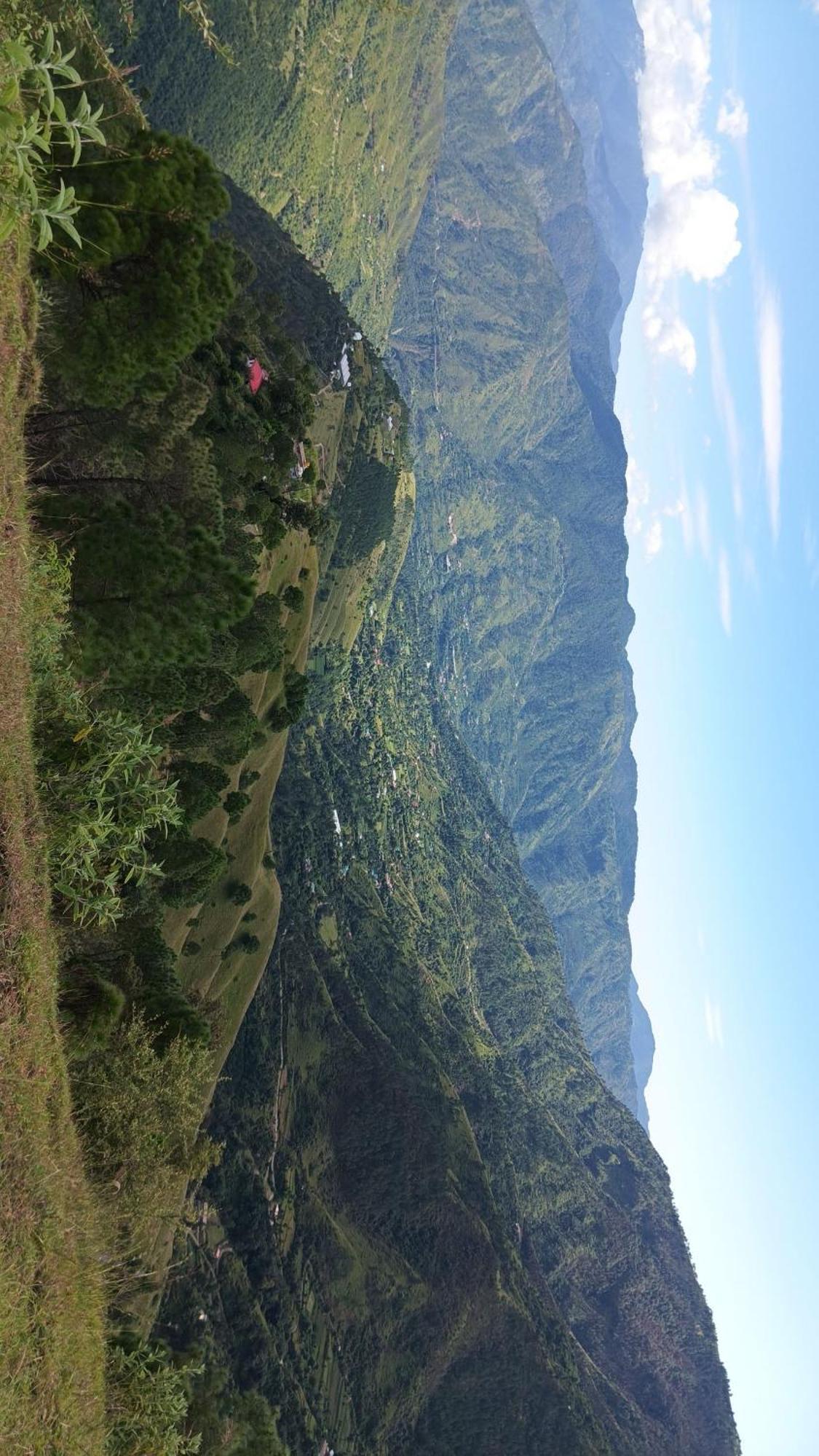 Peace Holiday Homestay Chail Exterior foto